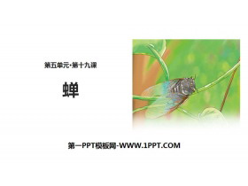 《蝉》PPT免费下载-第一PPT