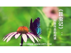 《昆虫记》PPT课件-第一PPT