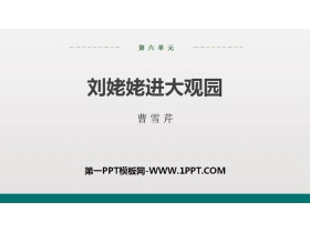 《刘姥姥进大观园》PPT优秀课件-第一PPT