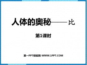 《人体的奥秘》PPT课件下载(第1课时)-第一PPT