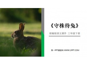 《守株待兔》PPT课件免费下载-第一PPT
