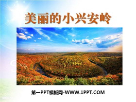 《美丽的小兴安岭》PPT下载-第一PPT