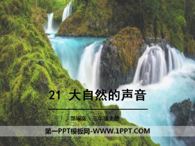《大自然的声音》PPT-第一PPT