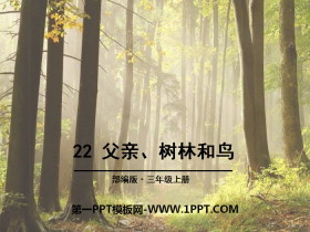 《父亲、树林和鸟》PPT下载-第一PPT