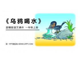 《乌鸦喝水》PPT免费课件-第一PPT