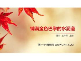 《铺满金色巴掌的水泥道》PPT精品课件-第一PPT