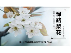 《驿路梨花》PPT精品课件-第一PPT