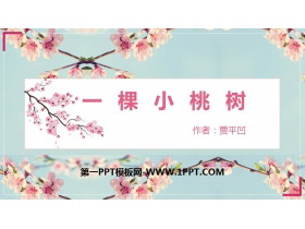 《一棵小桃树》PPT精品课件-第一PPT