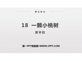 《一棵小桃树》PPT课件(第2课时)-第一PPT