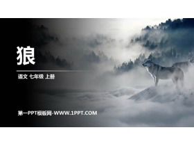 《狼》PPT优质课件-第一PPT
