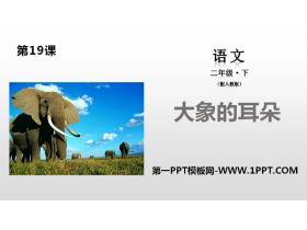 《大象的耳朵》PPT-第一PPT