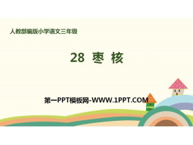 《枣核》PPT课件下载-第一PPT