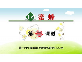 《蜜蜂》PPT(第二课时)-第一PPT