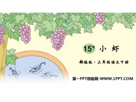 《小虾》PPT免费课件-第一PPT