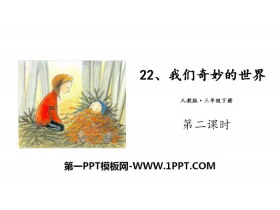 《我们奇妙的世界》PPT(第二课时)-第一PPT