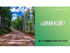 《白杨礼赞》PPT优质课件下载-第一PPT