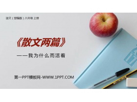 《我为什么而活着》PPT课件下载-第一PPT