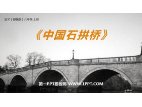 《中国石拱桥》PPT优质课件-第一PPT