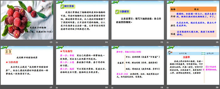 图片[3]-《习作：我们眼中的缤纷世界》PPT-第一PPT