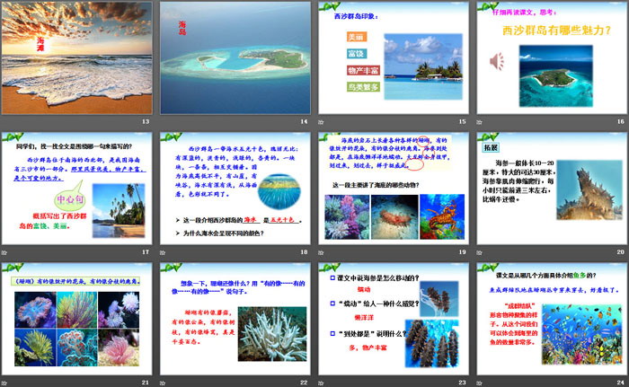 图片[3]-《富饶的西沙群岛》PPT下载-第一PPT