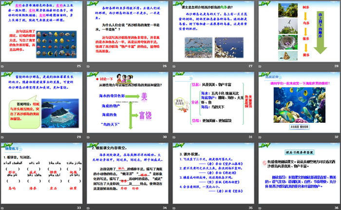 图片[4]-《富饶的西沙群岛》PPT下载-第一PPT