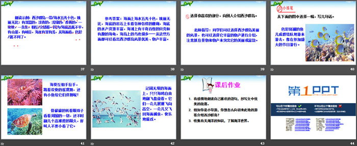 图片[5]-《富饶的西沙群岛》PPT下载-第一PPT
