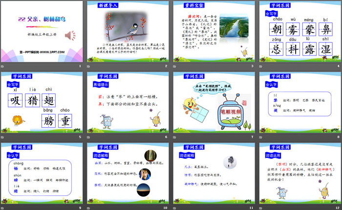 图片[2]-《父亲、树林和鸟》PPT-第一PPT