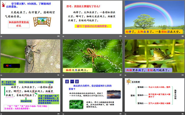 图片[5]-《雷雨》PPT精品课件下载-第一PPT