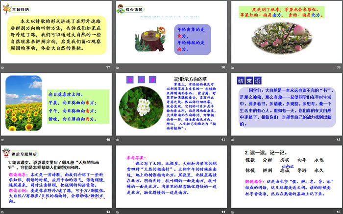 图片[6]-《要是你在野外迷了路》PPT下载-第一PPT