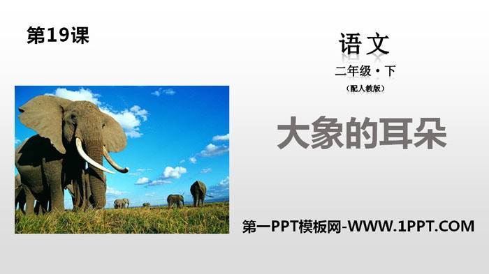 图片[1]-《大象的耳朵》PPT-第一PPT