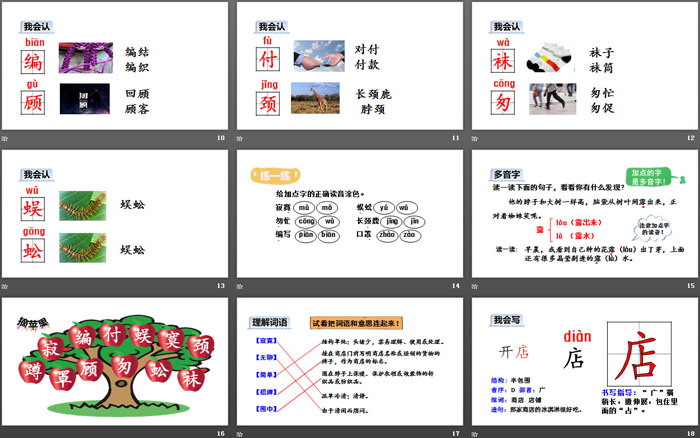 图片[3]-《蜘蛛开店》PPT下载(第一课时)-第一PPT