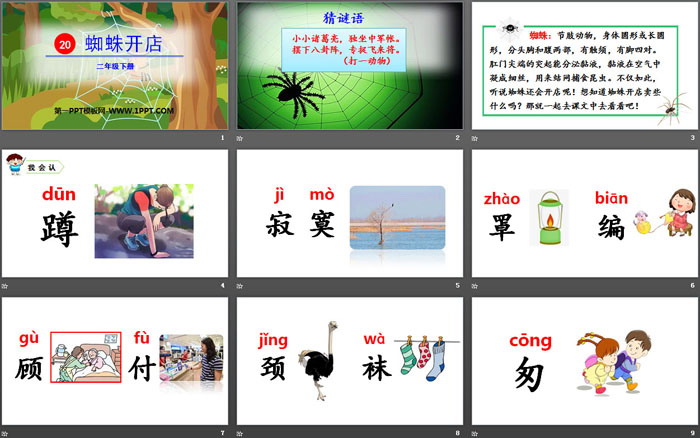 图片[2]-《蜘蛛开店》PPT教学课件-第一PPT