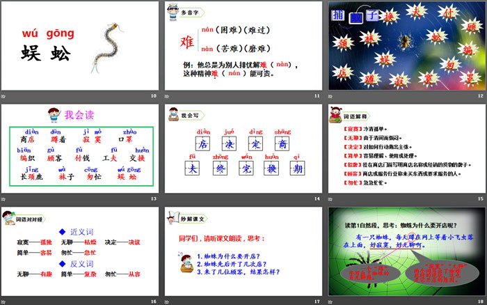 图片[3]-《蜘蛛开店》PPT教学课件-第一PPT