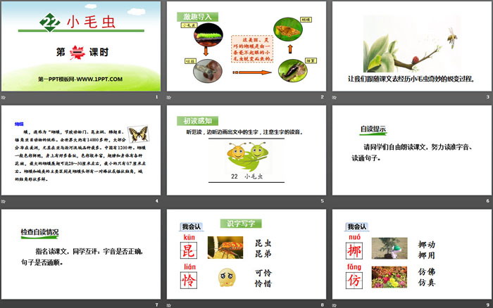 图片[2]-《小毛虫》PPT(第一课时)-第一PPT