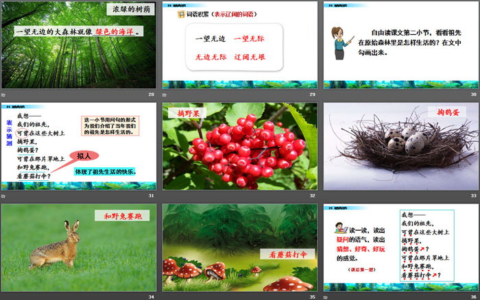 图片[5]-《祖先的摇篮》PPT免费课件-第一PPT