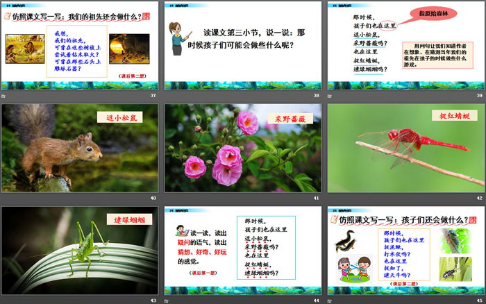 图片[6]-《祖先的摇篮》PPT免费课件-第一PPT