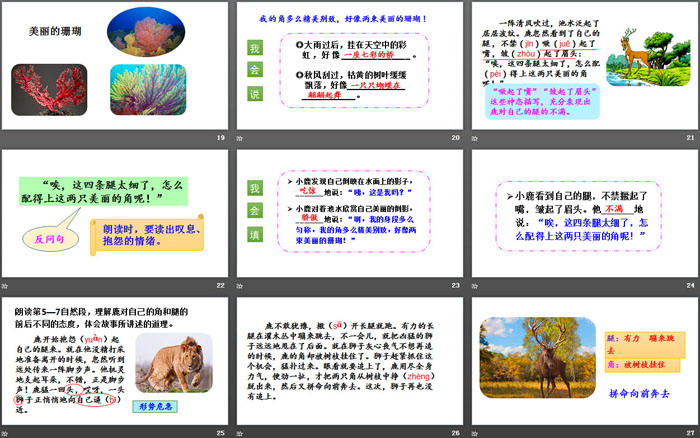 图片[4]-《美丽的鹿角》PPT下载-第一PPT