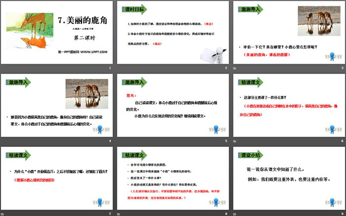 图片[2]-美丽的鹿角-第一PPT