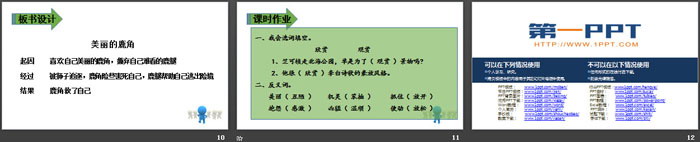 图片[3]-美丽的鹿角-第一PPT