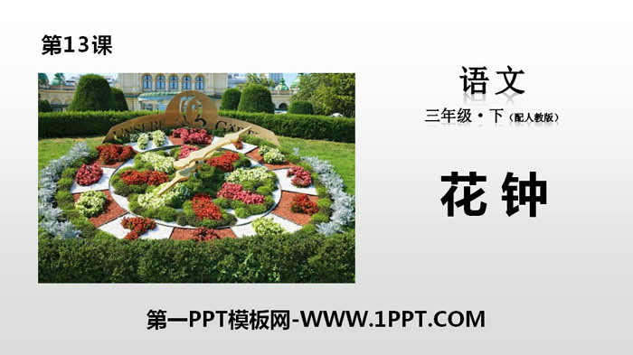 图片[1]-《花钟》PPT课件-第一PPT