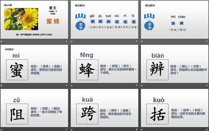 图片[2]-《蜜蜂》PPT下载-第一PPT