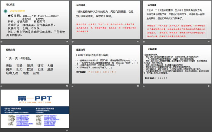 图片[4]-《蜜蜂》PPT下载-第一PPT