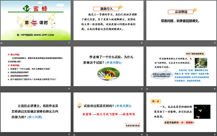 图片[2]-《蜜蜂》PPT(第二课时)-第一PPT