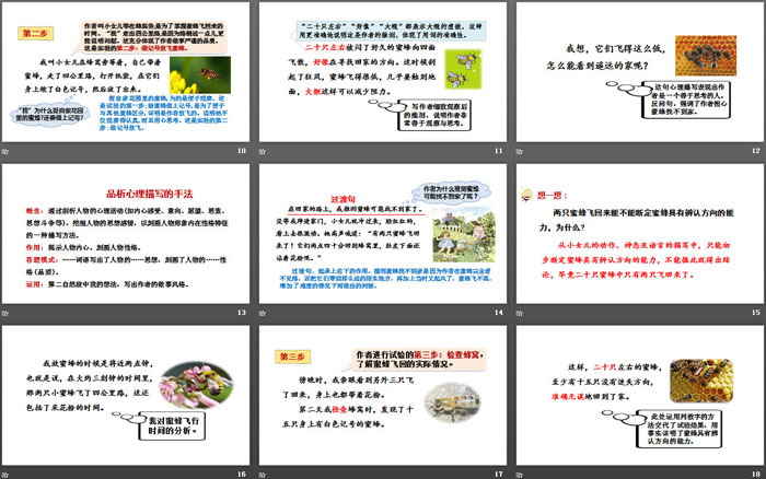 图片[3]-《蜜蜂》PPT(第二课时)-第一PPT