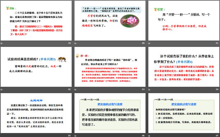 图片[4]-《蜜蜂》PPT(第二课时)-第一PPT
