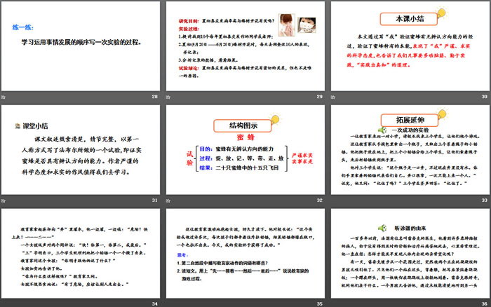 图片[5]-《蜜蜂》PPT(第二课时)-第一PPT