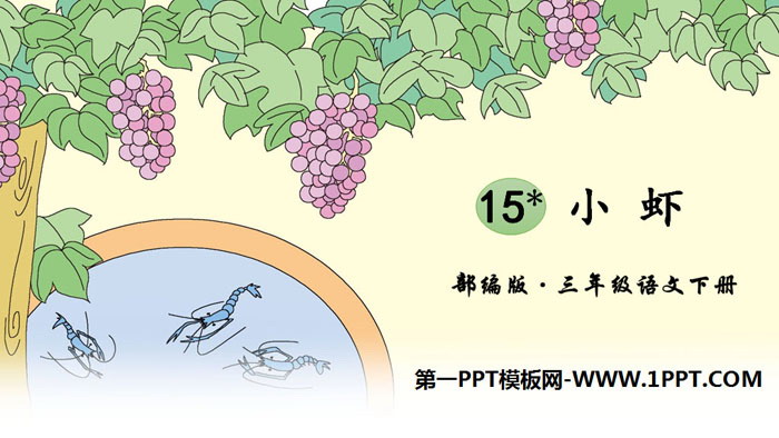 图片[1]-《小虾》PPT免费课件-第一PPT
