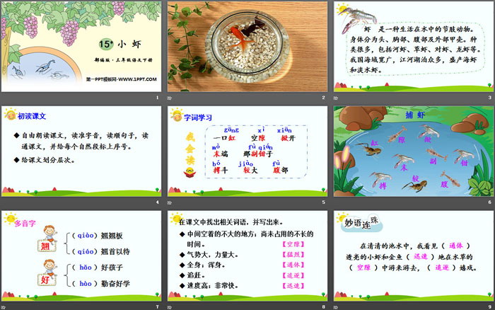 图片[2]-《小虾》PPT免费课件-第一PPT