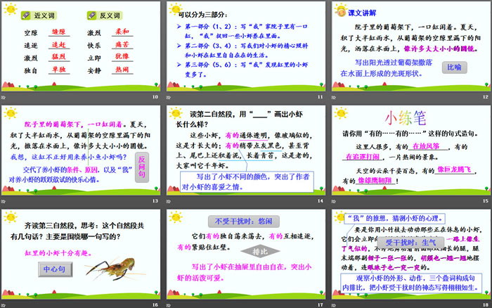 图片[3]-《小虾》PPT免费课件-第一PPT