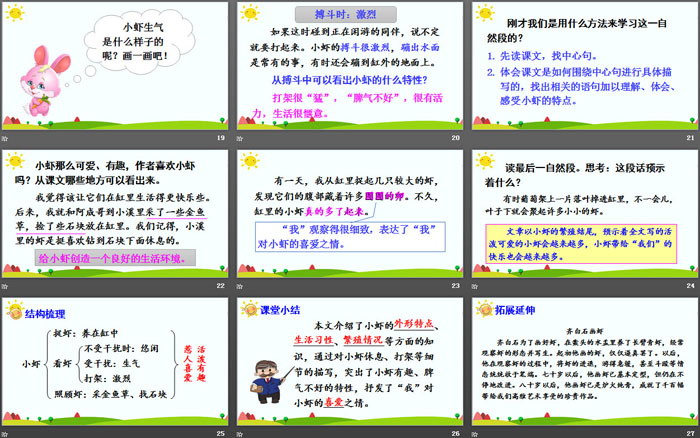 图片[4]-《小虾》PPT免费课件-第一PPT